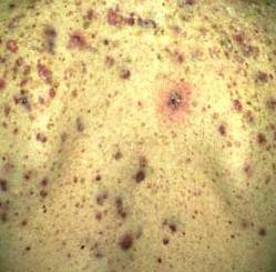 Landscape of mars.jpg