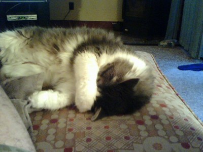 furby facepalm.jpg