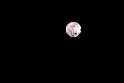 super moon(Medium).jpg