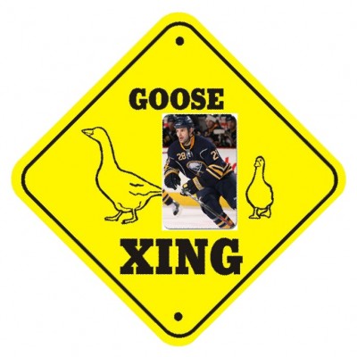 Goose_xing_thumb_640.jpg
